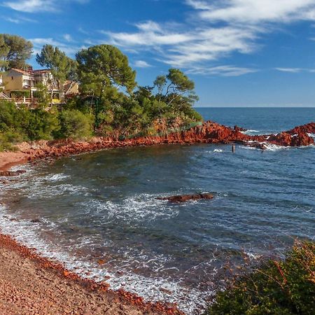 Un Grand Studio Face Au Port De Santa Lucia Saint-Raphaël 外观 照片